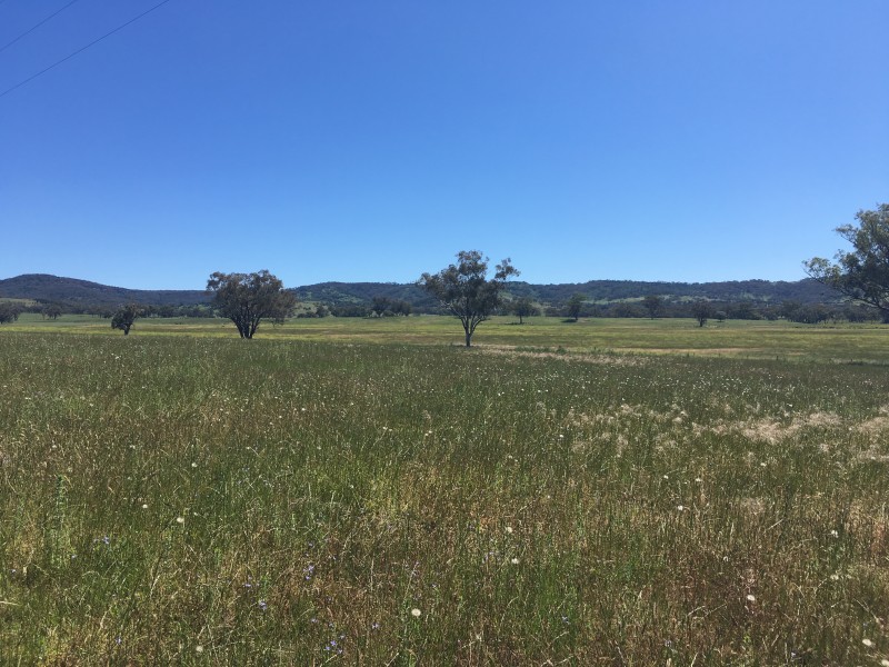 50 Wyuna Road “mt Mitchell”, Mullaley NSW 2379