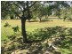 Lot 6 Tambar St, Tambar Springs NSW 2381