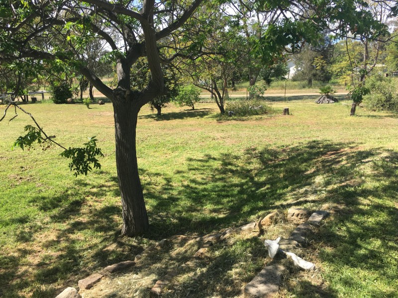 Lot 6 Tambar St, Tambar Springs NSW 2381