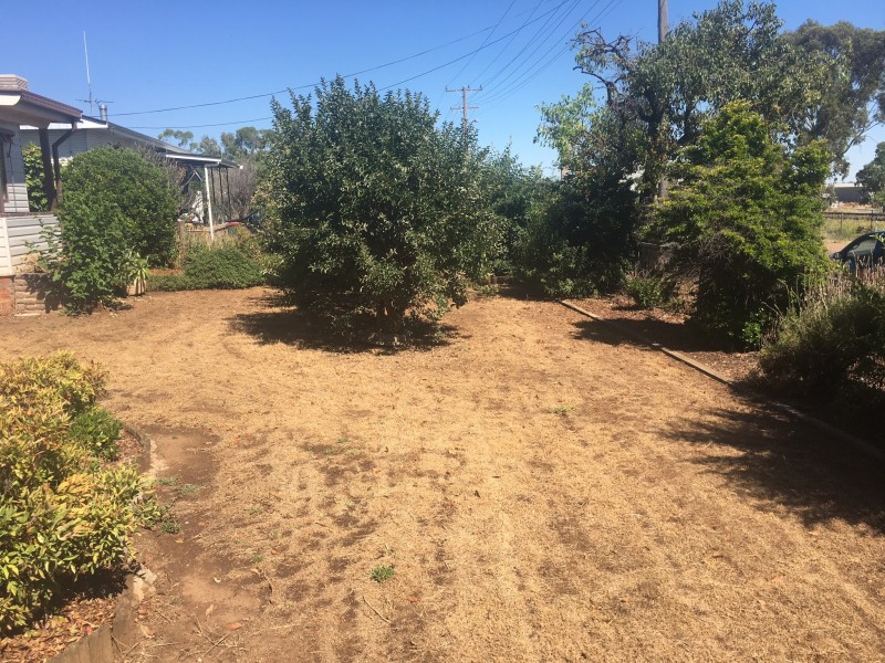 7 Ross Rd, Gunnedah NSW 2380