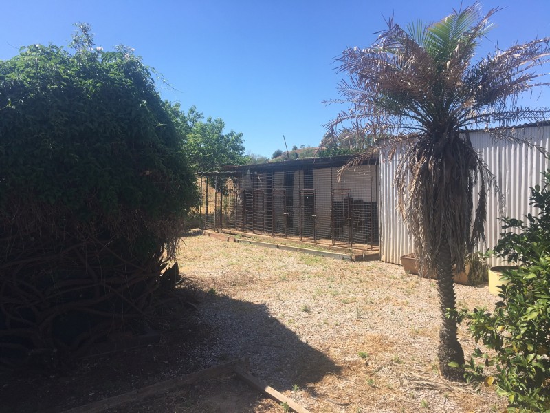 7 Ross Rd, Gunnedah NSW 2380