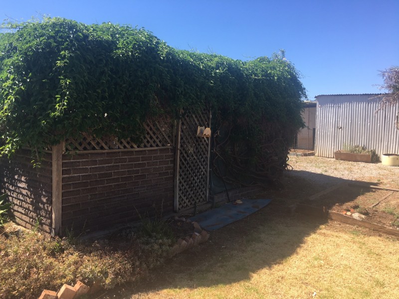 7 Ross Rd, Gunnedah NSW 2380