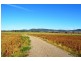 Lot 5 Beeson Road, Gunnedah NSW 2380