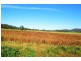 Lot 5 Beeson Road, Gunnedah NSW 2380