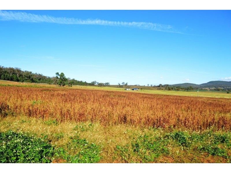 Lot 5 Beeson Road, Gunnedah NSW 2380