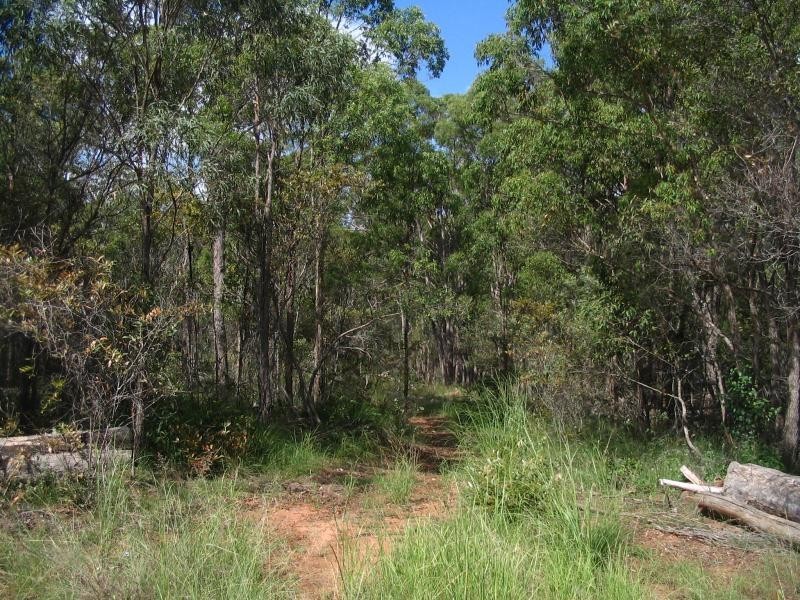 110 Hills Road, South Bingera QLD 4670