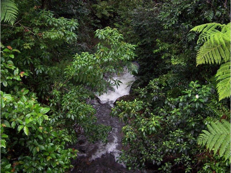 1737 Old Palmerston Highway, Ravenshoe QLD 4888