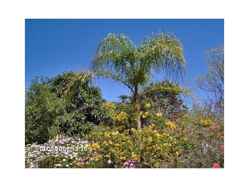 Lot 1 Basin Road, Abbeywood QLD 4613