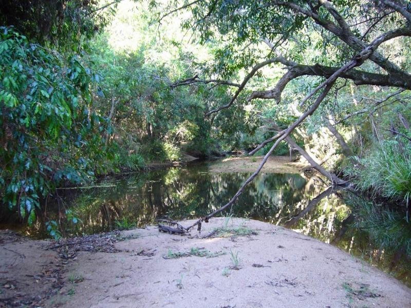 128 Junction Mountain Road, South Isis QLD 4660