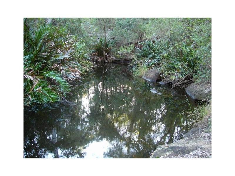 128 Junction Mountain Road, South Isis QLD 4660