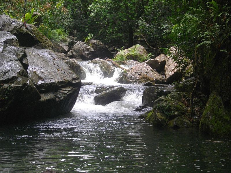 23 Douglas Track Road, Kamerunga QLD 4870