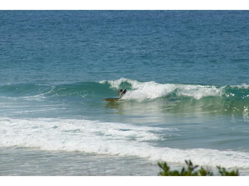 1/1 Tourmaline Street, Narrabeen NSW 2101