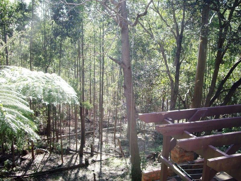 17 Cashel Crescent, Killarney Heights NSW 2087