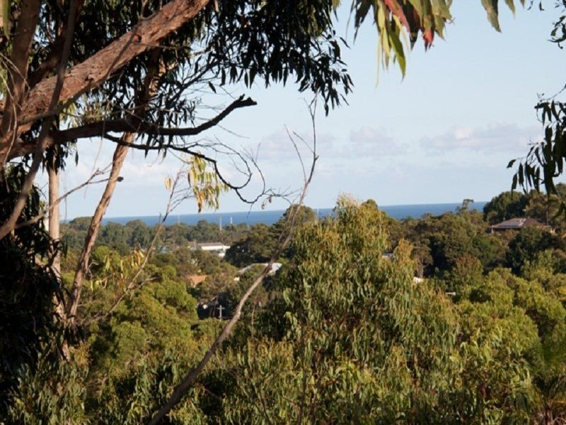 20 Cromer Road, Cromer NSW 2099