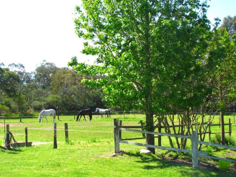 Terrey Hills NSW 2084