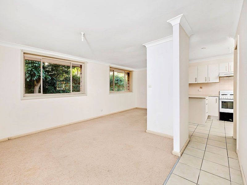6 Elizabeth Place, Brookvale NSW 2100