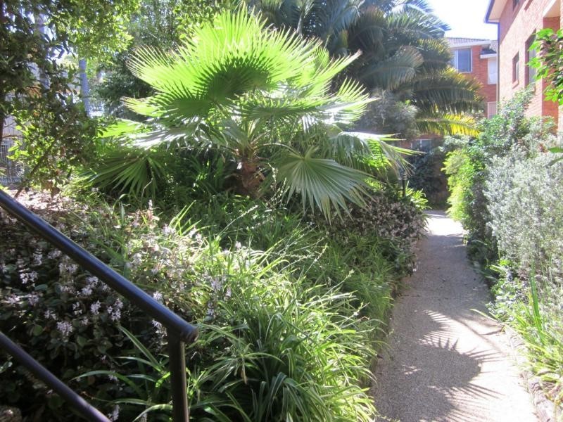 6/84-88 Pacific Parade, Dee Why NSW 2099