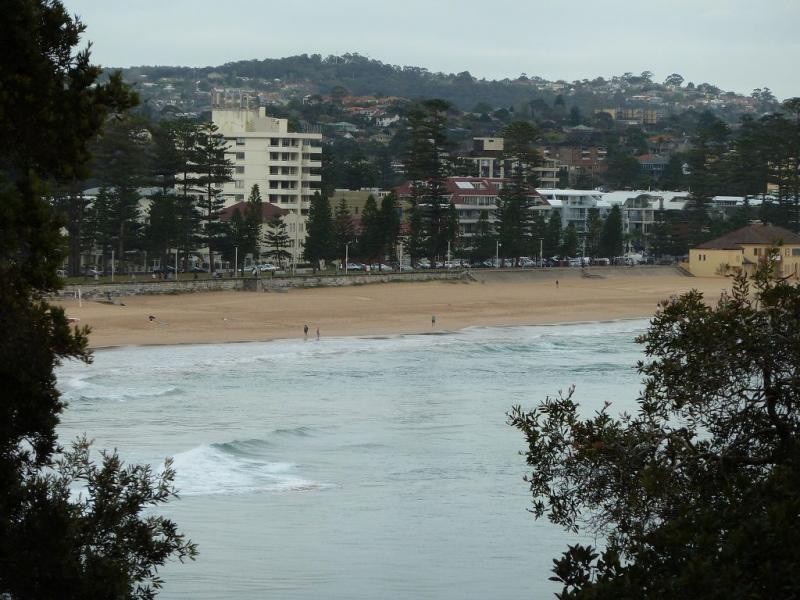 2/132 Bower Street, Manly NSW 2095