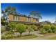 1b Tristram Road, Beacon Hill NSW 2100
