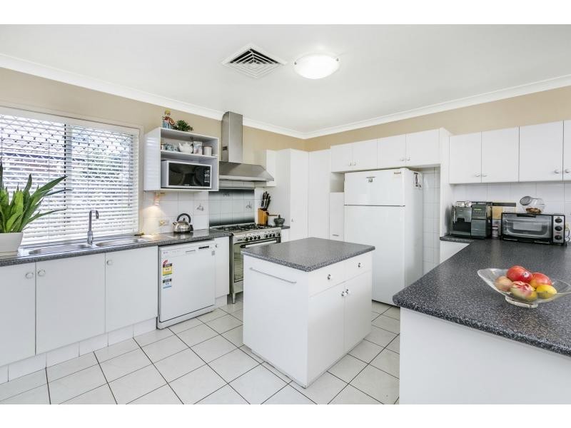 1b Tristram Road, Beacon Hill NSW 2100