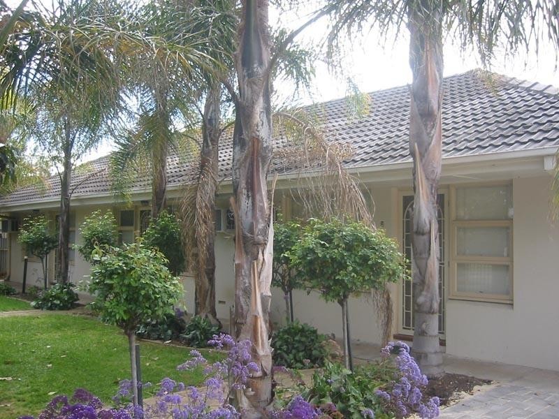 1- 8 / 8 Redmond Street, Collinswood SA 5081