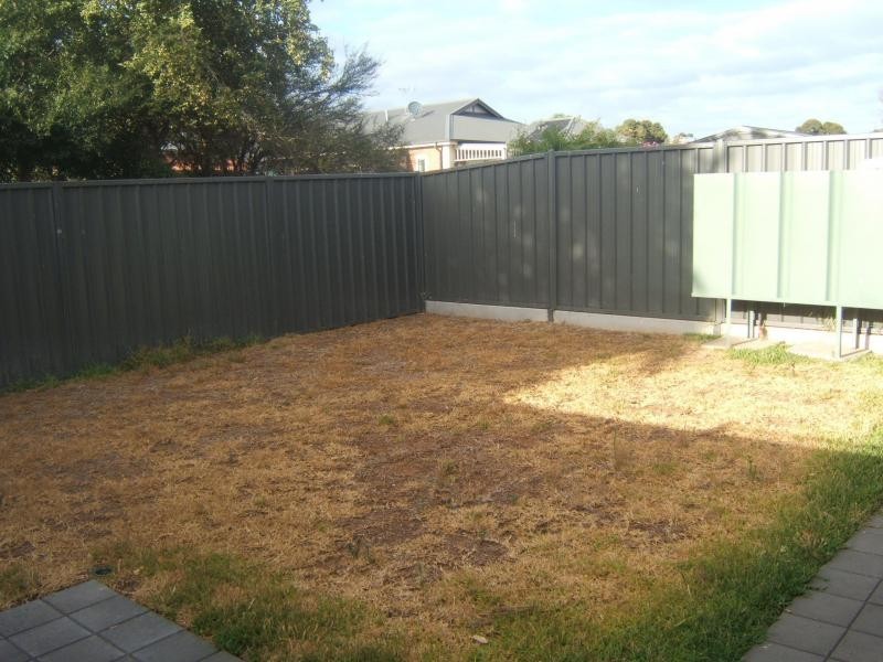 53a Livingstone Avenue, Prospect SA 5082