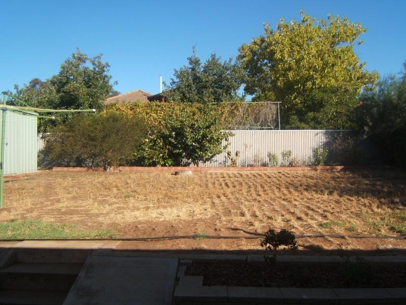 6 Newton Terrace, Enfield SA 5085