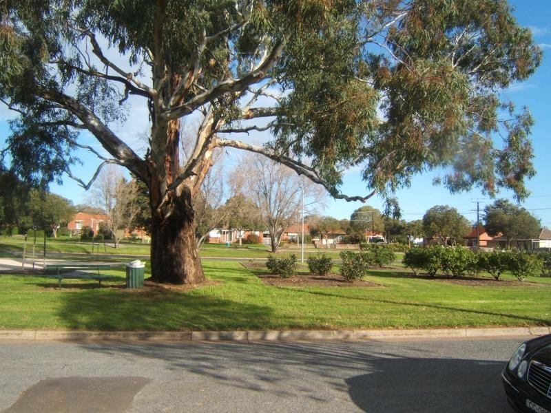 12 & 12a Jaffrey Street, Blair Athol SA 5084