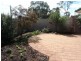 6 Hoad Court, Enfield SA 5085