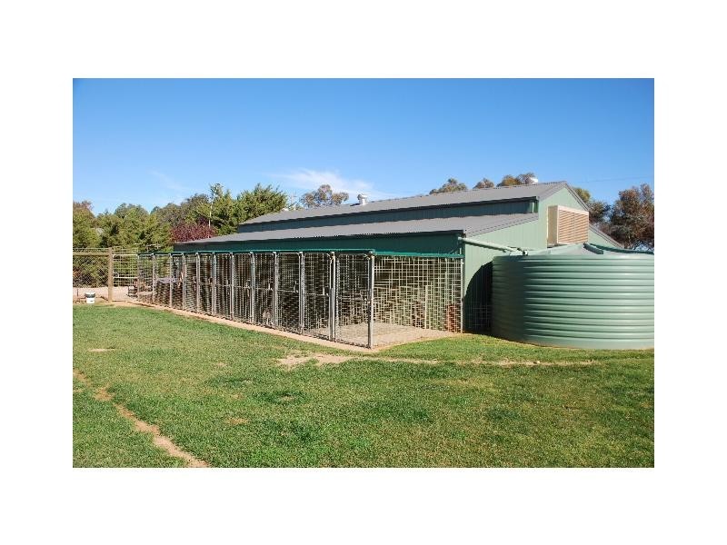 1/8 Jasmine Court, Ormeau QLD 4208