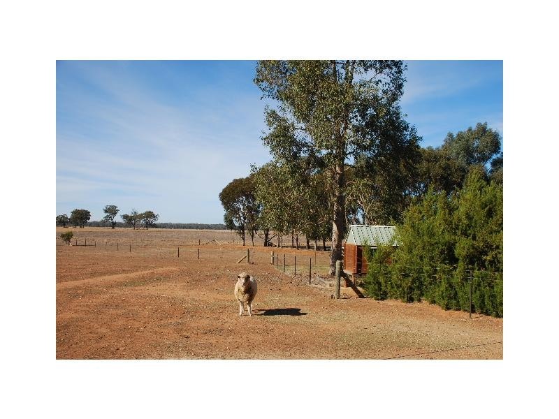 1/8 Jasmine Court, Ormeau QLD 4208