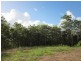 Lot 6 Skiel Court, Maroochy River QLD 4561