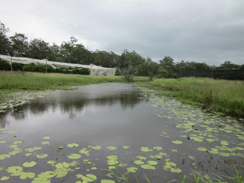 13 Lindeman Road, Beerwah QLD 4519