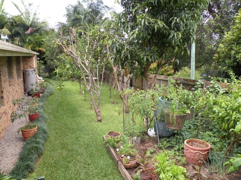 16 Fairview Close, Bli Bli QLD 4560