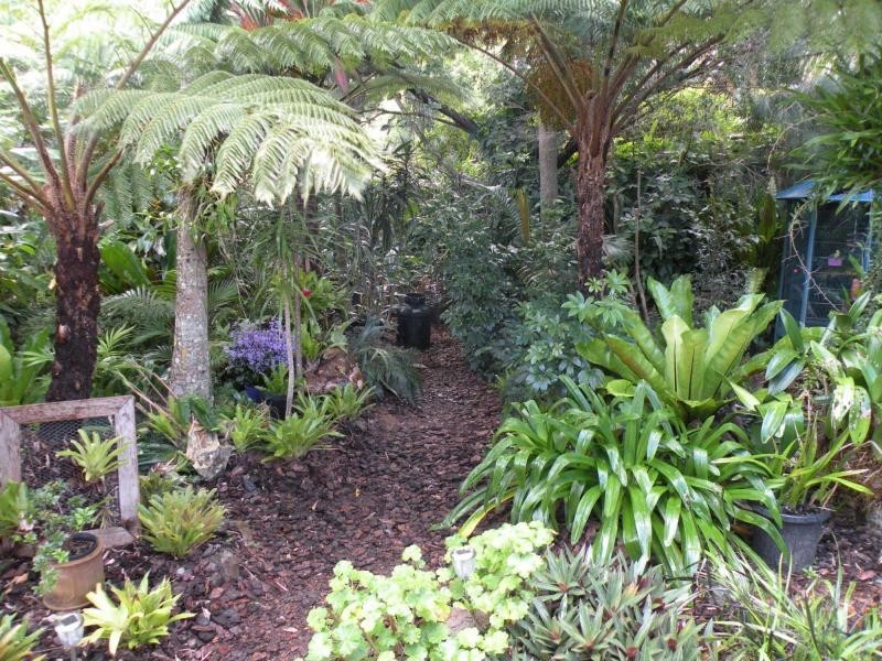 16 Fairview Close, Bli Bli QLD 4560