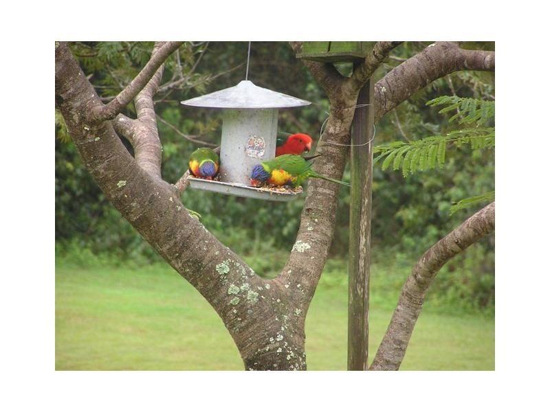 Mooloolah Valley QLD 4553