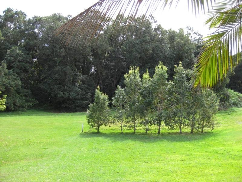 Mooloolah Valley QLD 4553