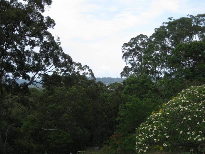 399 Perwillowen Road, Perwillowen QLD 4560