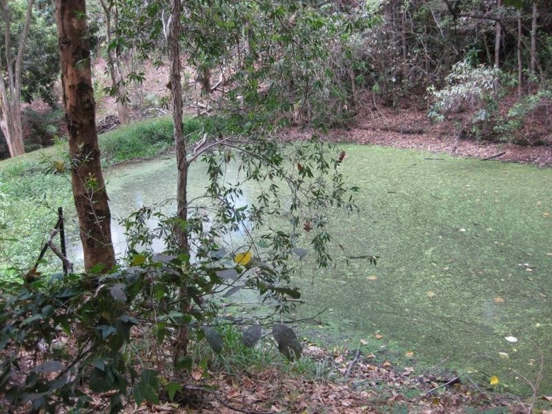 399 Perwillowen Road, Perwillowen QLD 4560