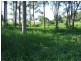 399 Perwillowen Road, Perwillowen QLD 4560