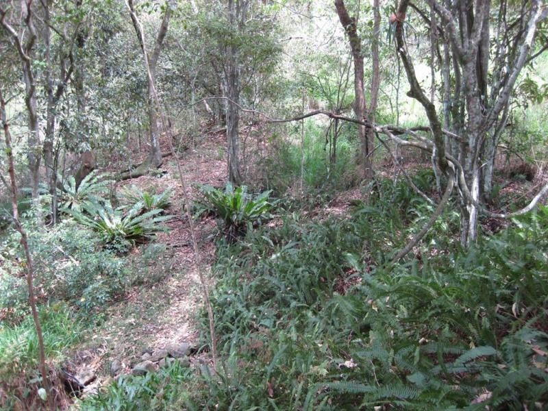 399 Perwillowen Road, Perwillowen QLD 4560