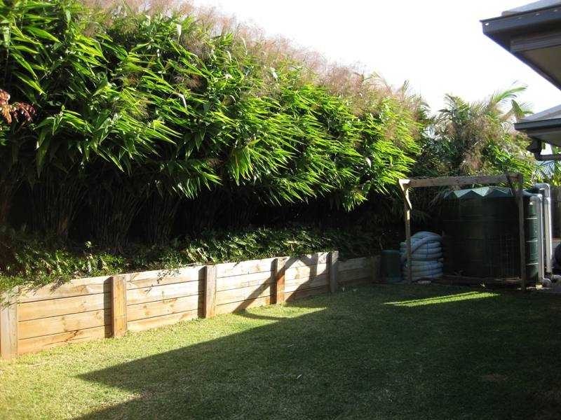 36 Paynters Pocket Avenue, Palmwoods QLD 4555