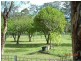 D1040 Princes Highway, Falls Creek NSW 2540