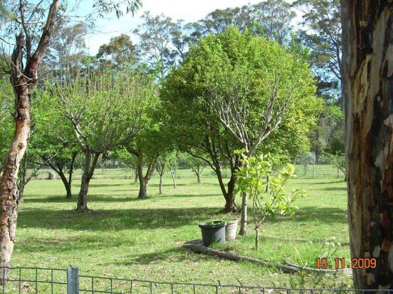 D1040 Princes Highway, Falls Creek NSW 2540