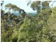 22 Waldegrave Crescent, Vincentia NSW 2540