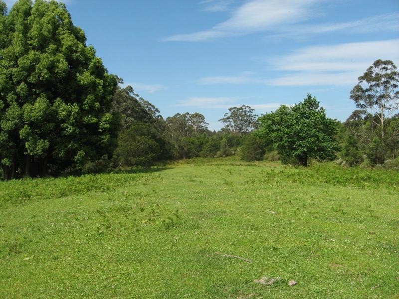 L21 Cnr Wandean Rd, Wandandian NSW 2540