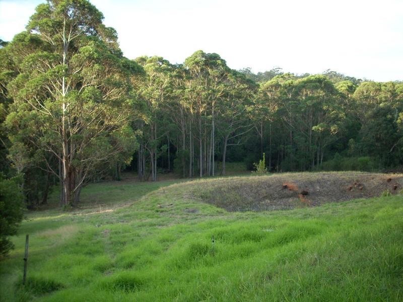 Milton NSW 2538
