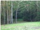 Milton NSW 2538