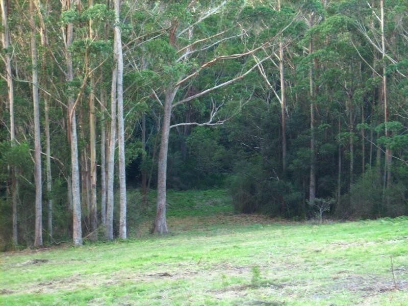 Milton NSW 2538