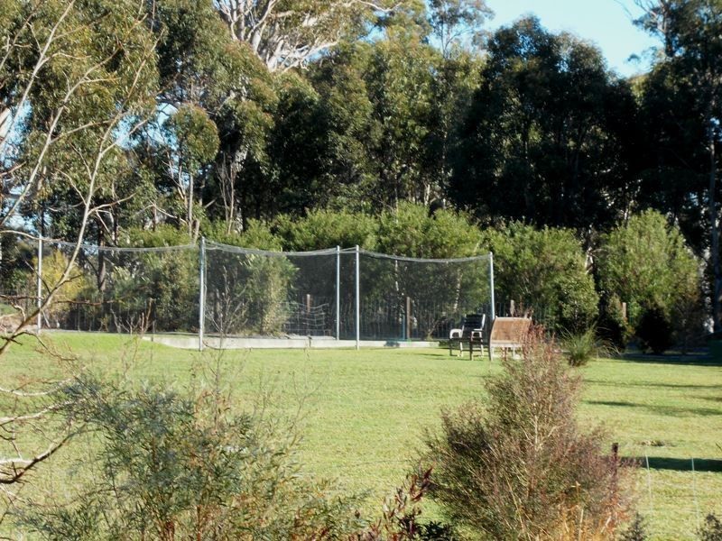 173b The Wool Road, Worrowing Heights NSW 2540